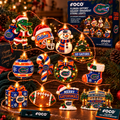 FGT Premium decorative Christmas LED string lights BMD